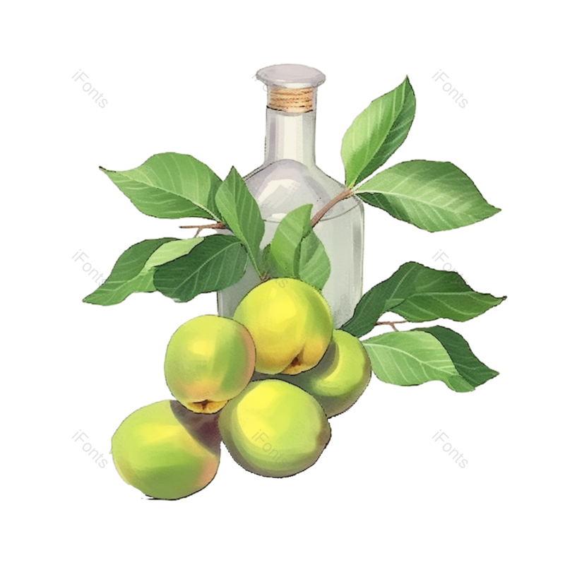芒种图片,元素元素,插画PNG,水果免抠素材